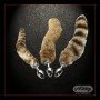 Fox Tail Brown Plated Metal Fussy Plugs AD-020